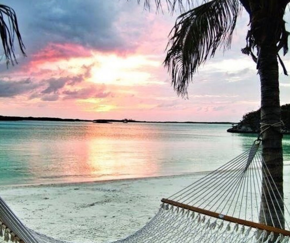 Beach and Hammock with Palm Tree